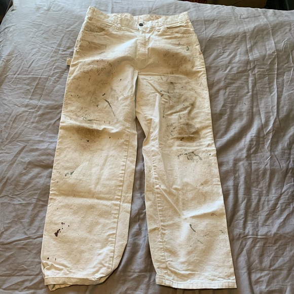 sherwin williams pants
